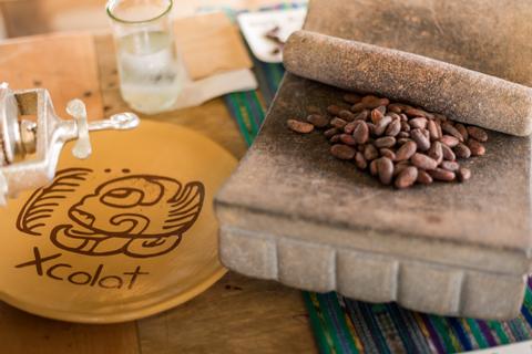 2-in-1 Safari Float and Chocolate Tour Costa Rica